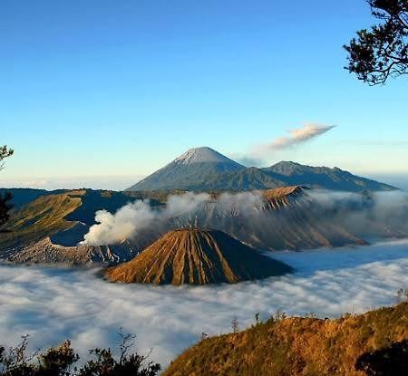 Gigafa Homestay Probolinggo Bagian luar foto